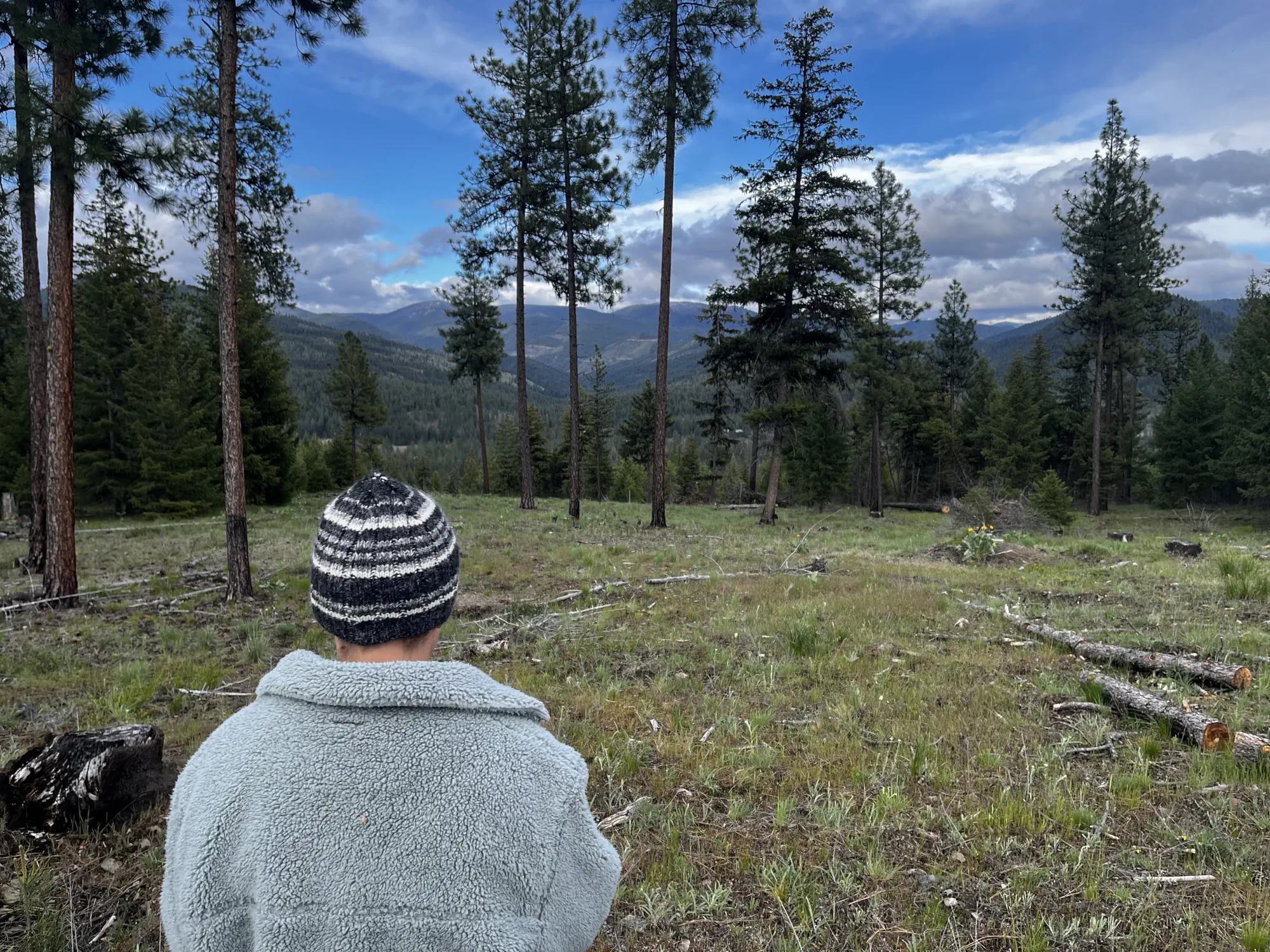 Life at the Permaculture Bootcamp